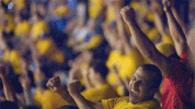 GIF by Golden State Warriors