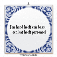 Kat Nl GIF by Tegelspreuken.nl