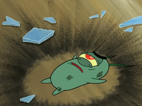 season 5 GIF by SpongeBob SquarePants