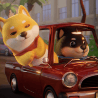 thedogefrens happy travel adventure driving GIF