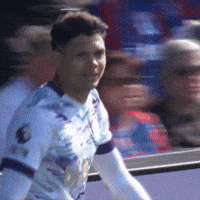 Happy Premier League GIF by AFC Bournemouth