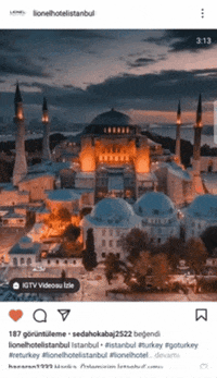 Lionelhotelistanbul  GIF