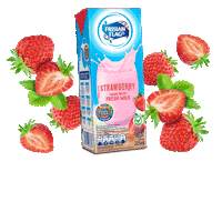 Rtd Ffi Sticker by Frisian Flag