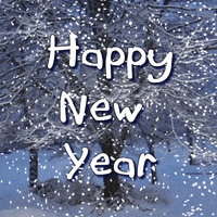 Happy New Year Winter GIF