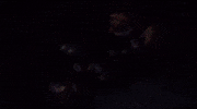 Squid Sisters Off The Hook GIF