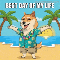 Happy Good Vibes GIF by Doge Pound
