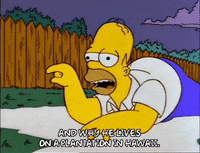 homer simpson GIF