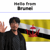 Brunei Bn Sticker