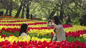 Keukenhof spring photo selfie foto GIF