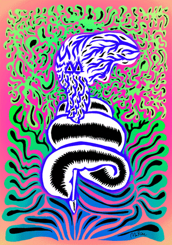 Colour GIF by Miron