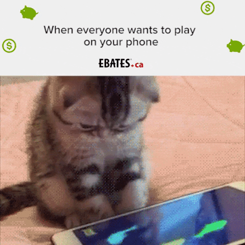 GIF by ebatescanada