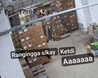 Fall Aaaa GIF
