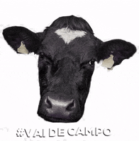 CAMPONUTRICAO  GIF