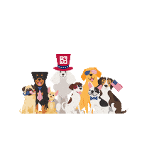 Hot Dog Cat Sticker by Petland Florida