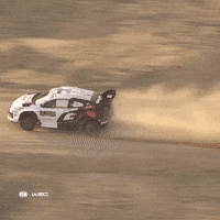 Fast Car Racing GIF by FIA World Rally Championship