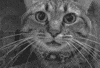close up art GIF