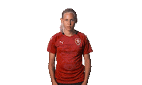 holky_taky football soccer women why Sticker