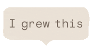 Homegrown Sticker by Tui Garden