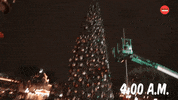 Christmas Tree GIF by BuzzFeed