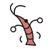 Shrimp Prawn Sticker by okushibashouten