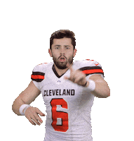 Go Cleveland Browns Sticker by NFL