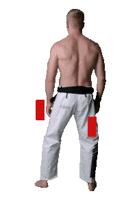 the titan Sticker by Karate Combat