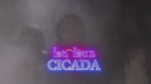 la luz GIF by Hardly Art