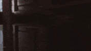 Proud Julius Caesar GIF by Checkatrade.com