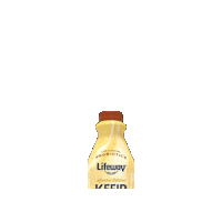 Pumpkin Spice Breakfast Sticker by Lifeway Foods