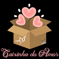 caryocaboutique caixa caixinha caryocaboutique caryoca GIF