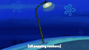 season 9 episode 20 GIF by SpongeBob SquarePants