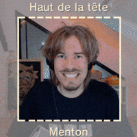 Tomodachi Life Camera GIF