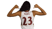 ElonPhoenixAthletics elon phoenix elon basketball Sticker
