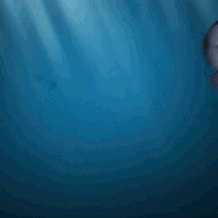 hungry shark sharks GIF by Hungry Shark Official Page