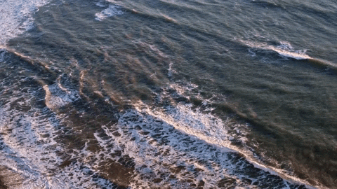 Reverse Slow Motion GIF by Chris
