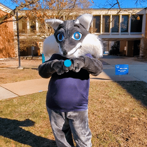 Heart Love GIF by St. Louis Community College