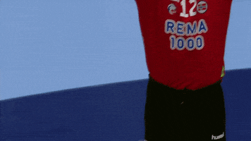 Celebration Win GIF by EHF