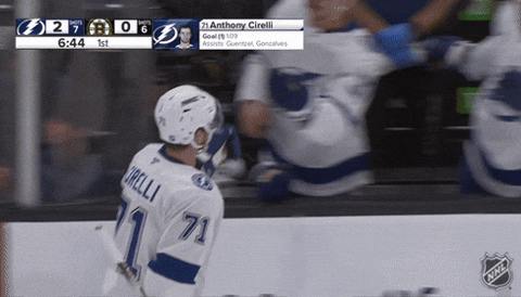 Happy National Hockey League GIF by NHL