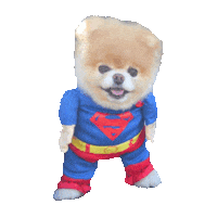 superman STICKER by imoji