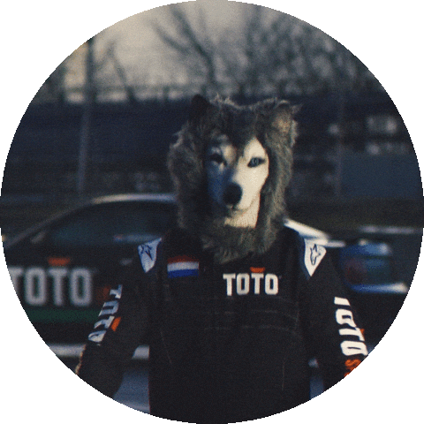 Formula 1 Sport Sticker by Toto