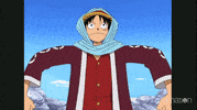 one piece kung fu dugong GIF by Funimation