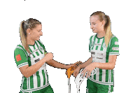 Floorball Fbsbohemians Sticker by Český florbal