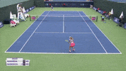 Ekaterina Makarova Tennis GIF