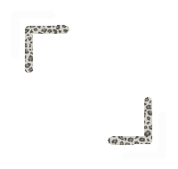 Leopard Print Post Sticker