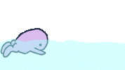 Loop Swimming Sticker