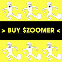 GIF by Zoomer