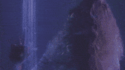 GIF by ColeRolland