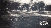 Angels Cry Band GIF by Better Noise Music