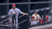 st. louis cardinals baseball GIF by MLB