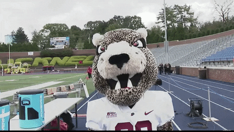LafayetteLeopards giphyupload leopard lafayette roll pards GIF